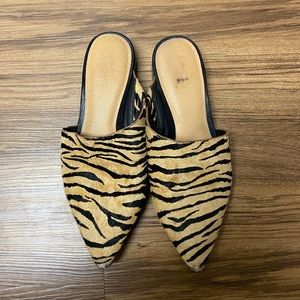Zebra mules